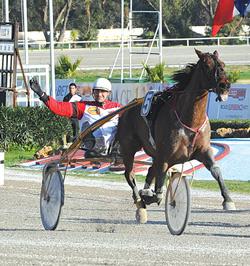 Charlò Debono raises his arm in delight after guiding Major Chaleonnais to victory in the Premier Class race yesterday. Photo: Jason Borg