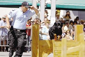 Photo: Matthew Mirabelli
