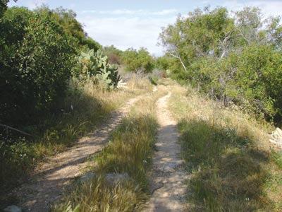 The area where the bungalows are being proposed.