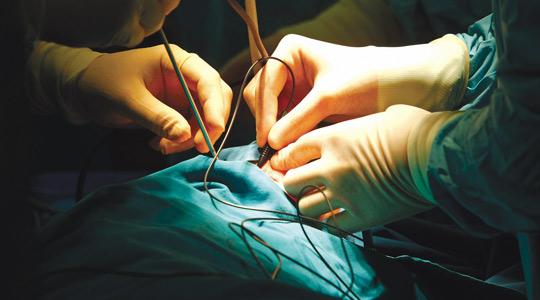 69 per cent of patients wait more than 24 hours for their trauma operation. Photo: Darrin Zammit Lupi
