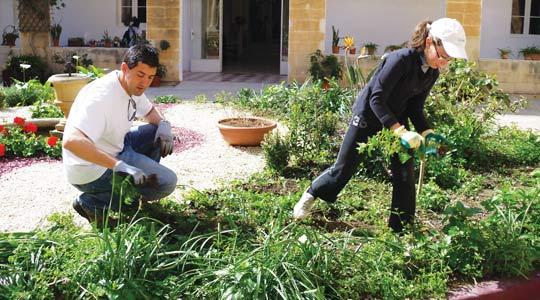 Deloitte employees conducting charitable work to mark Corporate Social Responsibility Day.