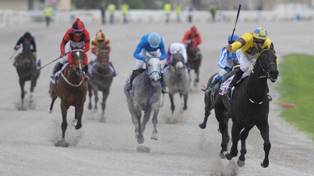 Fyelehk (right) leading the Coronation Cup race yesterday. Photo: Matthew Mirabelli